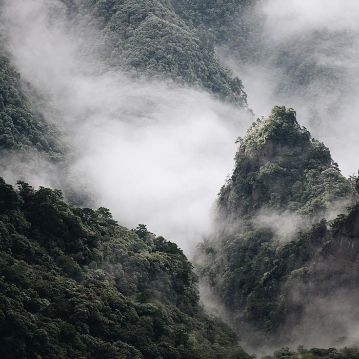 Scenic nature hero image